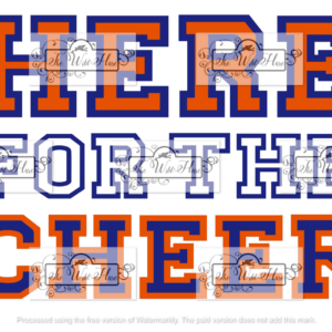 Here for the Cheer Blue and Orange