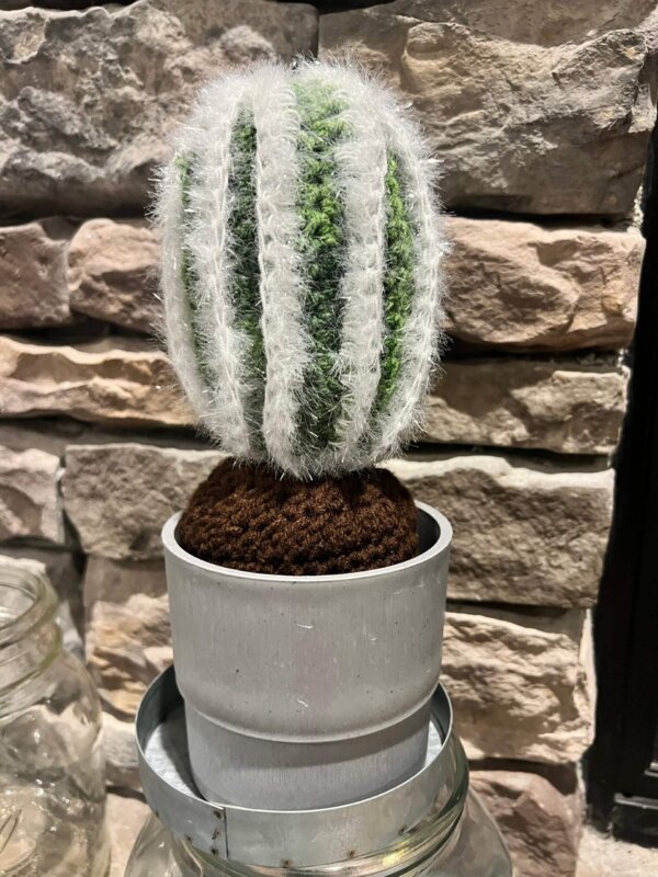 Crocheted Cardón Grande